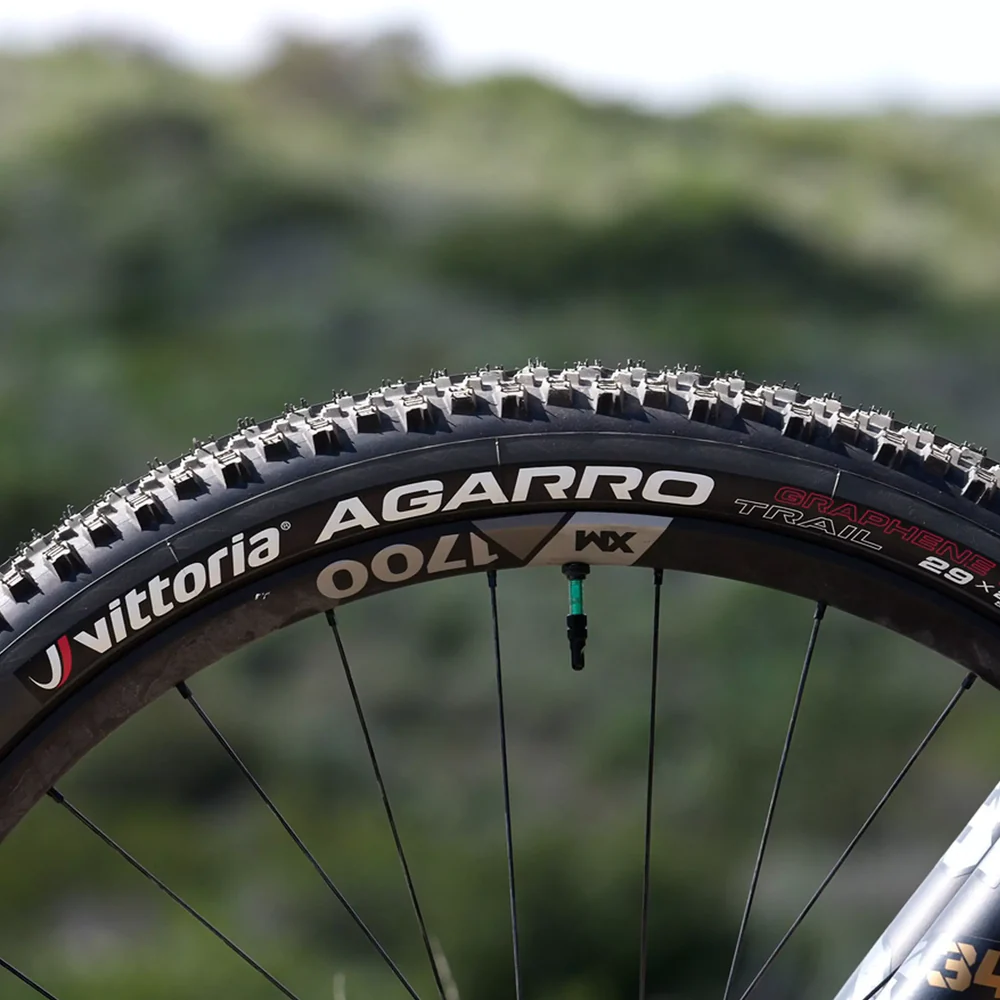 Vittoria Agarro G2